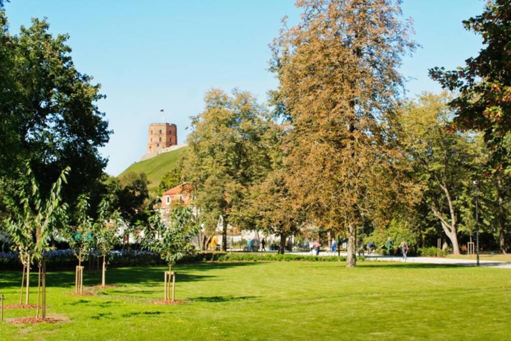 Private Sauna & 4 Bedrooms Old Town Rooftop Apartment Vilnius Bagian luar foto