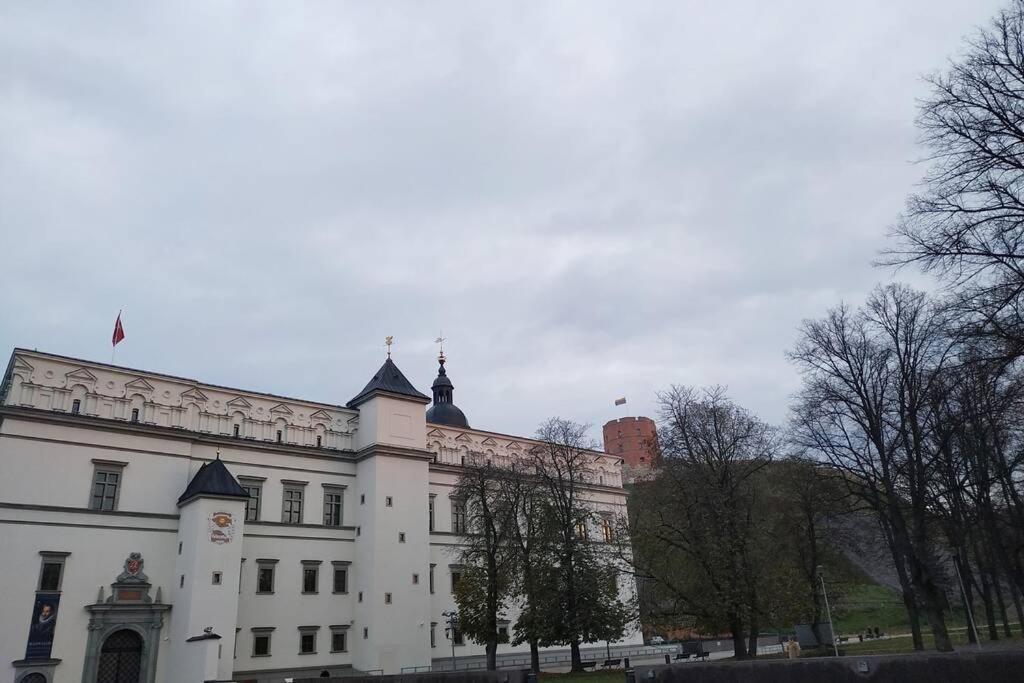 Private Sauna & 4 Bedrooms Old Town Rooftop Apartment Vilnius Bagian luar foto