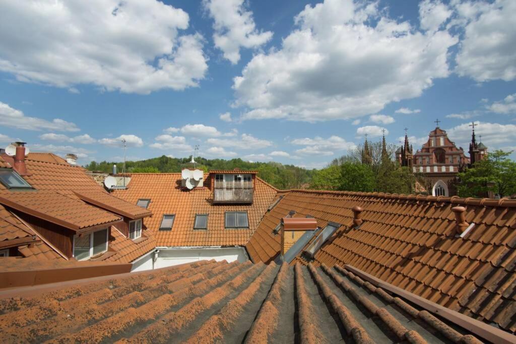 Private Sauna & 4 Bedrooms Old Town Rooftop Apartment Vilnius Bagian luar foto